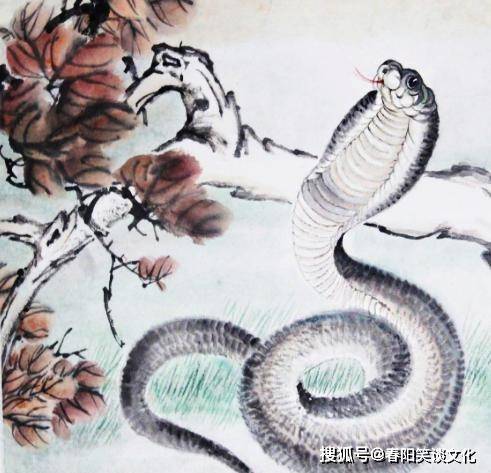 梦解，老蛇双现，一死一存——寓意与启示的深度剖析