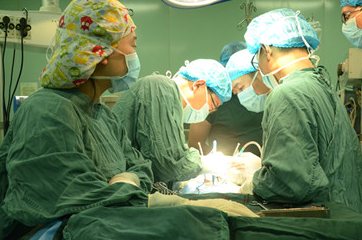 宠物知识：狗癫痫和癫痫的发作-第3张图片-冲锋网