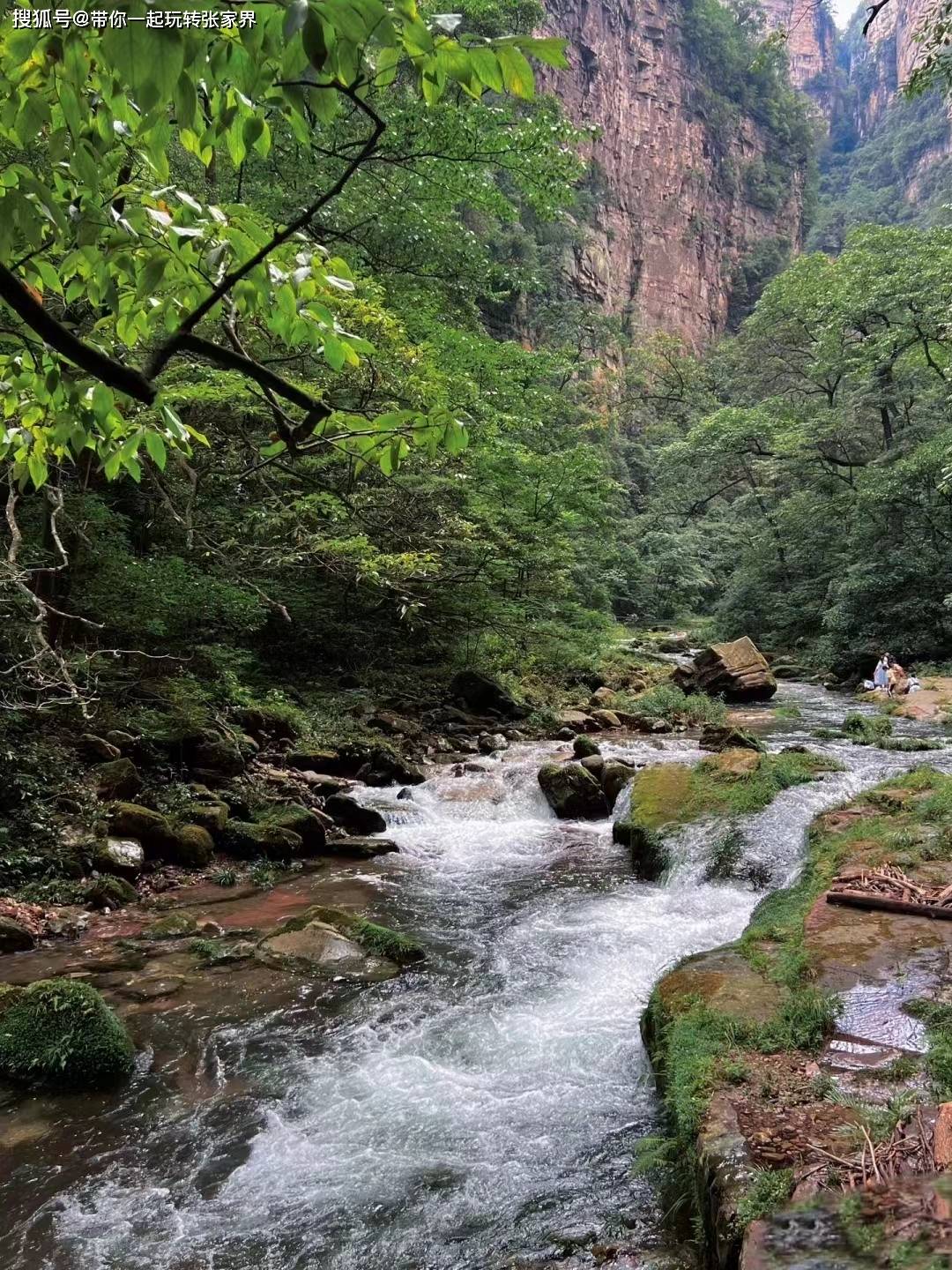 带父母到湖南张家界森林公园天门山玩4天自由行攻略