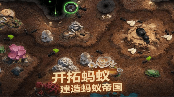 小小蚁国多开搬砖教程,挂机打资源方法 小小蚁国多开搬砖教程,挂机打资源方法