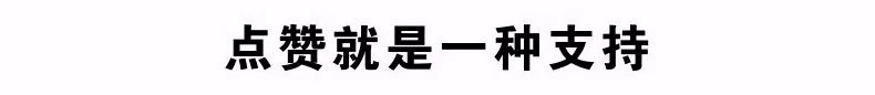 原创“中国荧屏第一人”沈力：事业爱情圆满，儿子却成为她一生的遗憾...