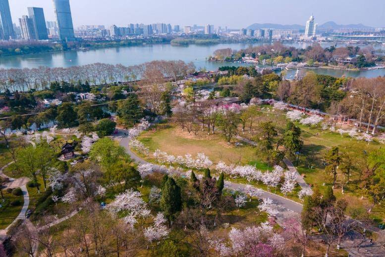 三天两夜的南京旅游攻略！吐血整理，一篇就够！南京最佳行程攻略