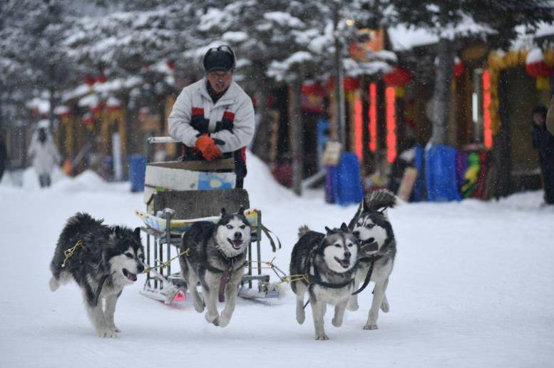 哈尔滨最佳旅游时间 超详细的旅游攻略 哈尔滨雪乡六日游最佳行程