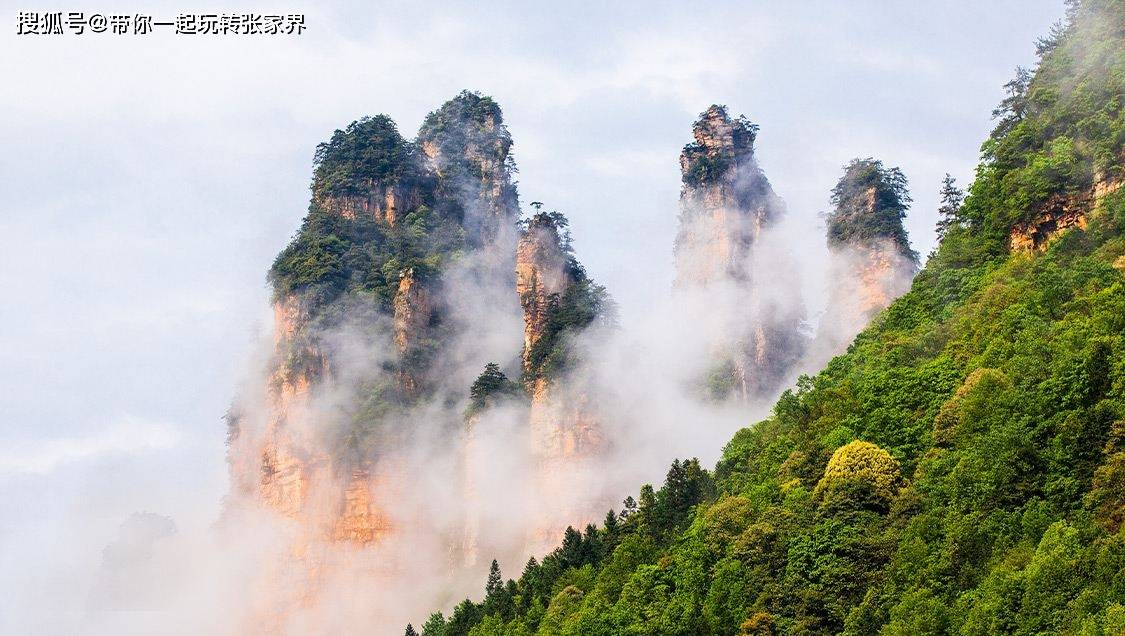 假期亲子游前往张家界天门山玩4天超全保姆级攻略