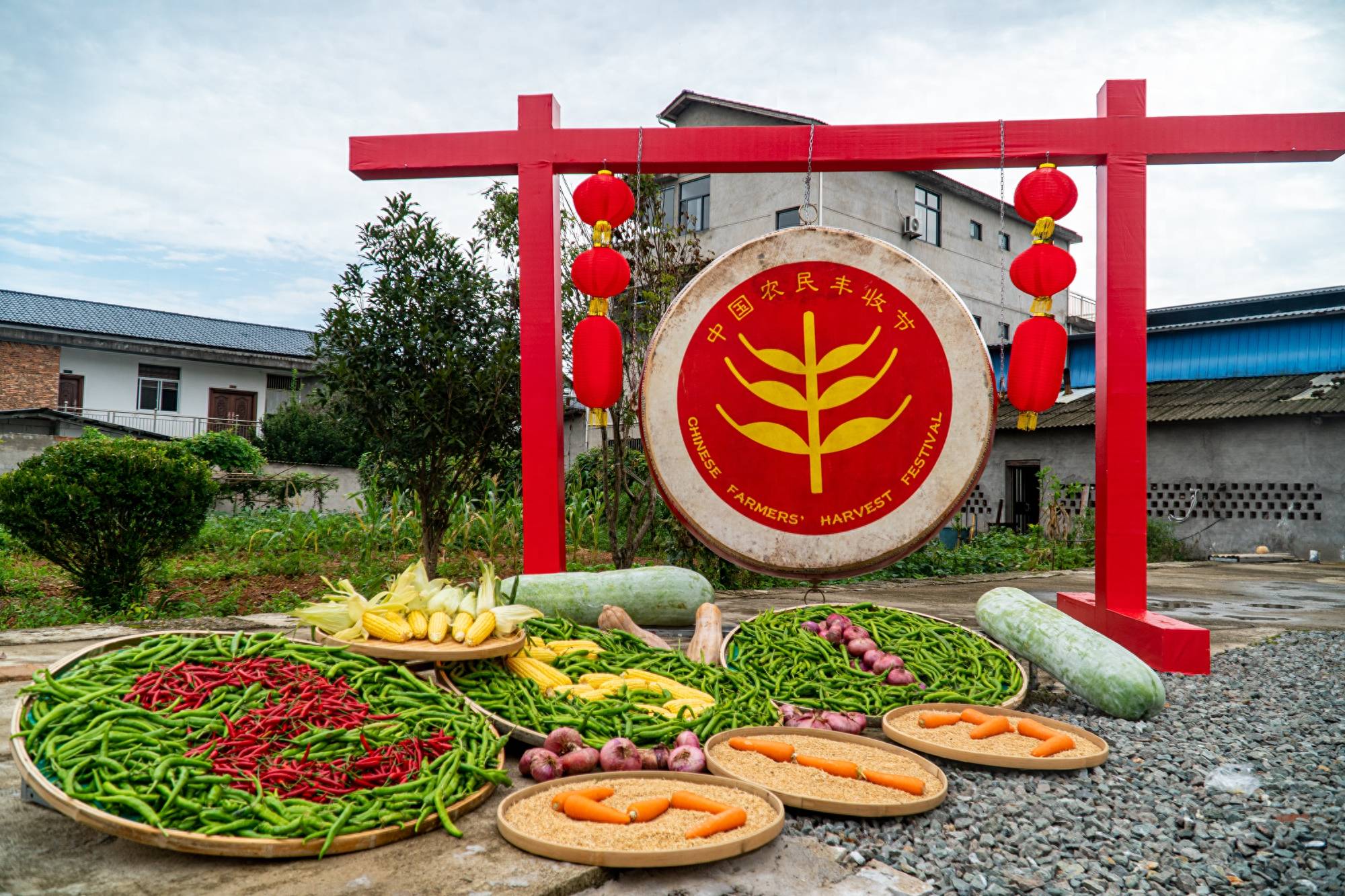 三天两晚，环武夷山国家公园1号风景道自驾游