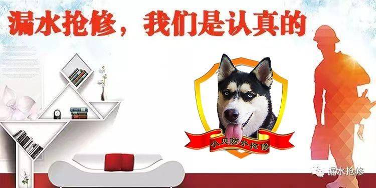 文章配图-3