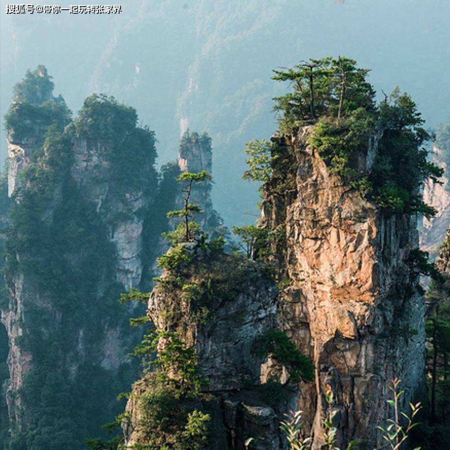 登顶天门山-张家界国家森林公园深度游玩4天3晚旅游攻略