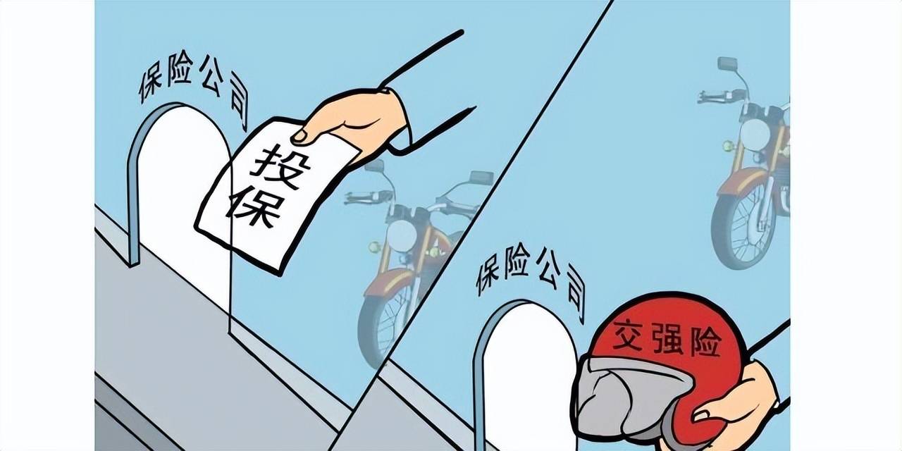 怎么查交强险的投保日期?