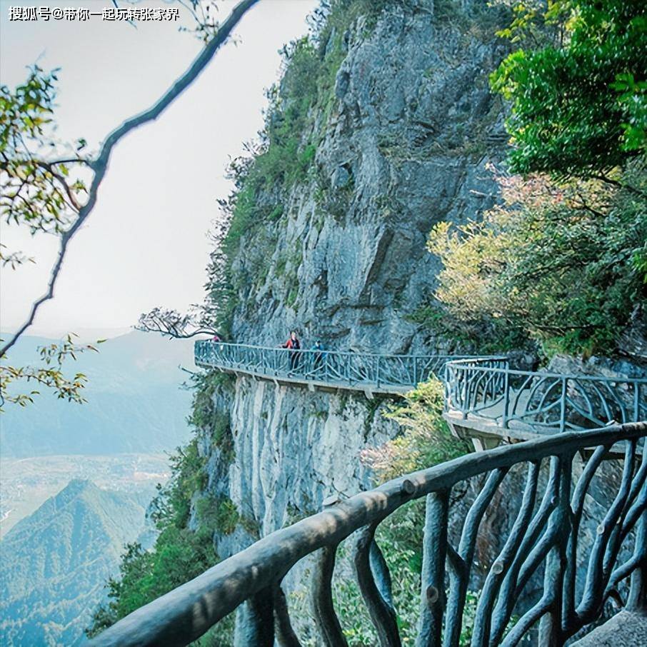 一年一次的家庭旅游季-湖南张家界湘西凤凰古城5日游攻略