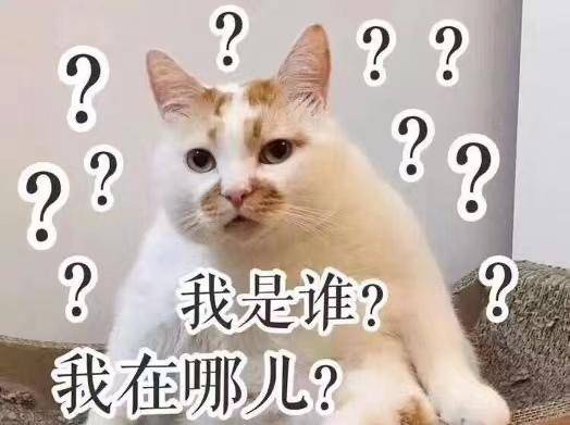 是谁？是谁？是谁？