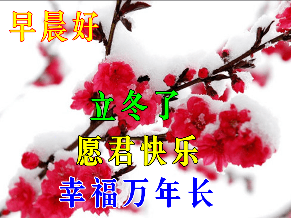 8张非常好看立冬快乐问候语图片精选 创意好看的立冬问候语图片精选