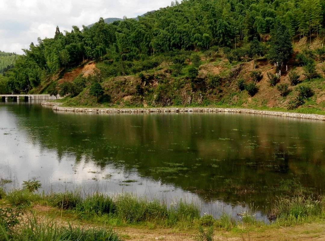 原创海贼王，岩浆果实是烧烧果实的上级，而它是岩浆果实的上级
