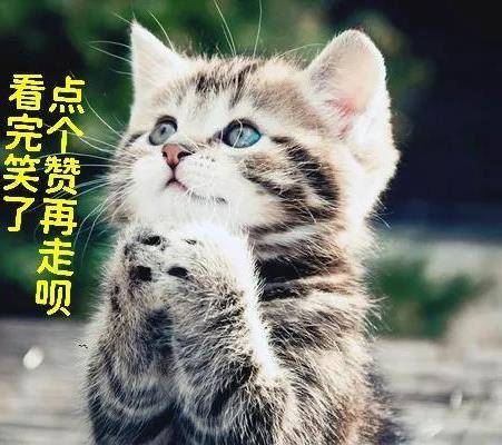 你有没有看过让你再次开怀大笑的笑话