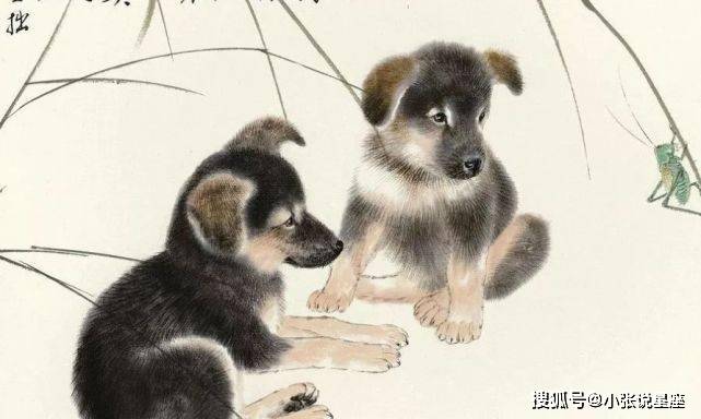 企足而待是什么生肖，经典解析