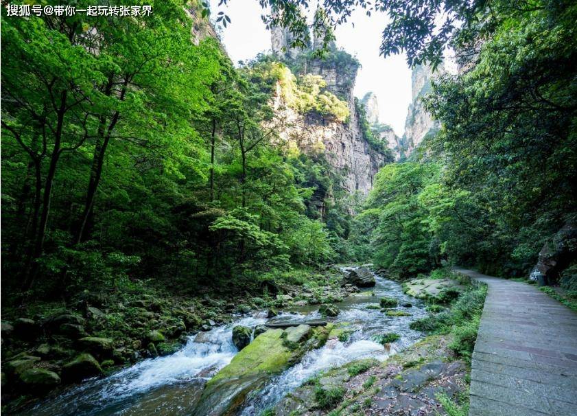 去张家界凤凰古城怎么玩-自由行5天详细旅游攻略推荐，超省钱