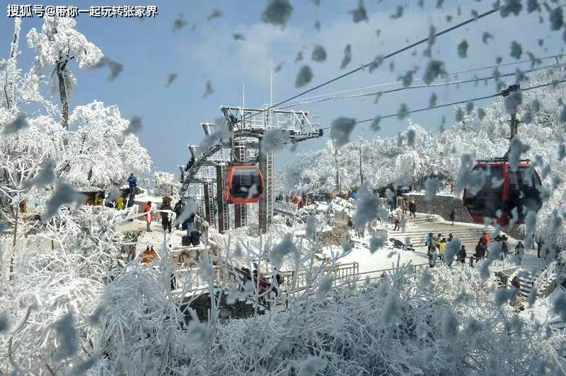 冬季雪景去张家界+凤凰古城玩5天4晚超详细旅游攻略