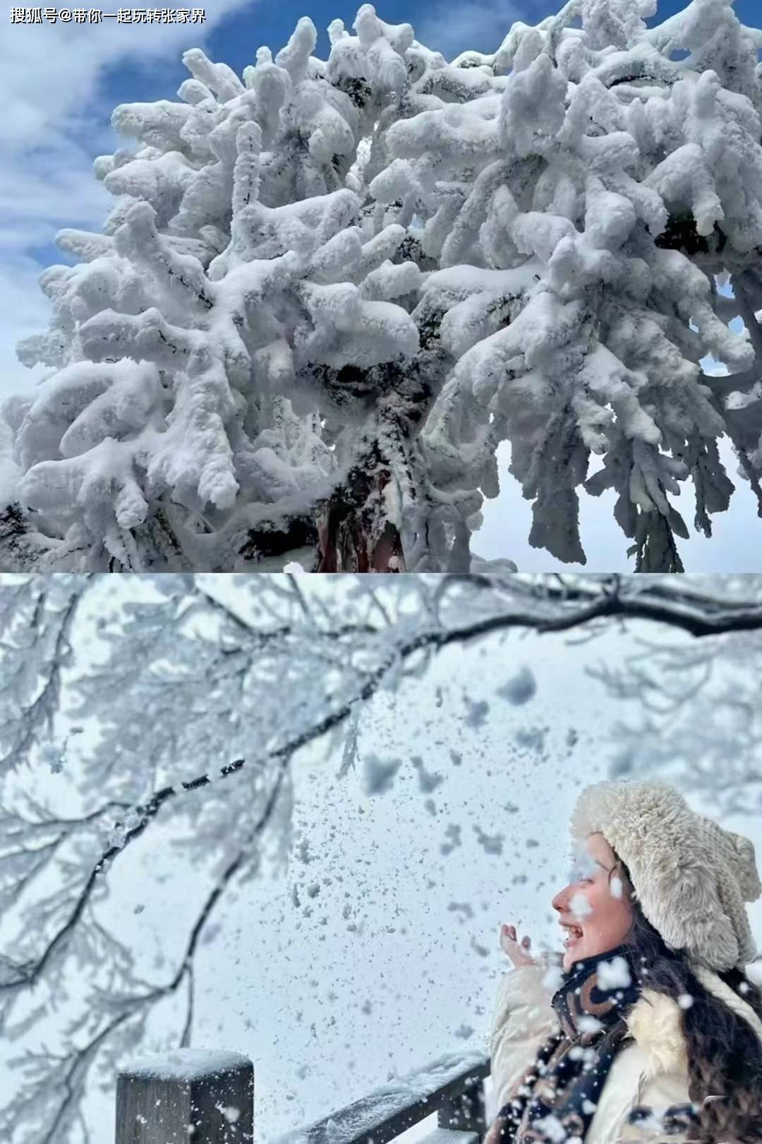 这个冬季看雪景-去张家界凤凰古城游玩5天4晚自由行攻略