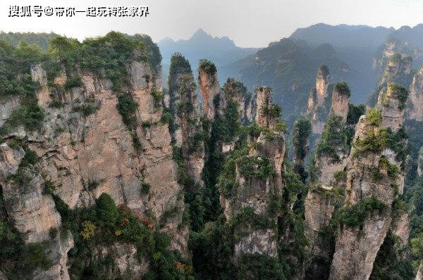 国内最值得去的旅游城市张家界-凤凰古城游玩五天四晚旅游攻略