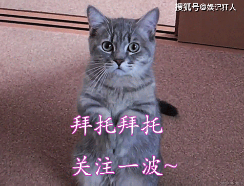 任泉的帮助成就了李冰冰，两人的深厚友情背后，隐藏着怎样的故事？