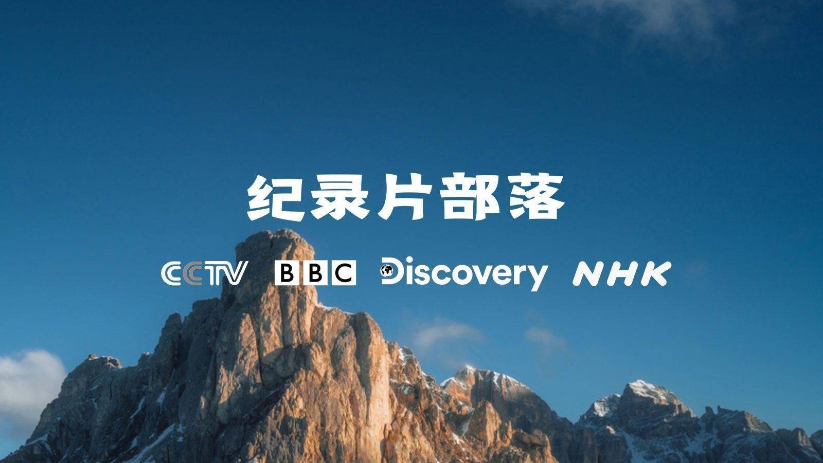 纪录片《爱非偶然》全集1080P超清下载