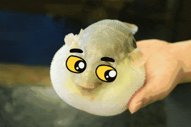 拼死吃河豚?听听河豚怎么说,以防被