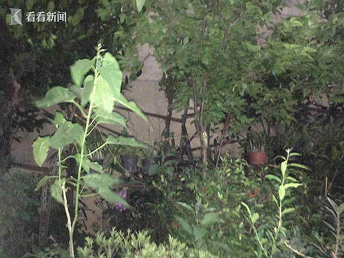 [坠楼]女童不慎从14楼坠下 竟起身自己搭电梯回家，