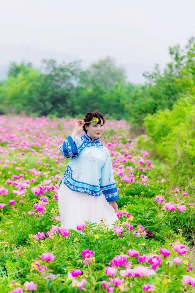 满山芍药花开,山那边的女人