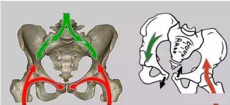 骶髂关节康复方法