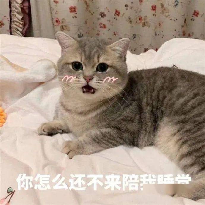 憨憨脸红_表情
