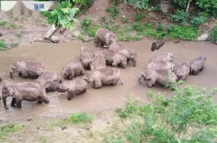 西双版纳2021gdp_2021年西双版纳泼水节