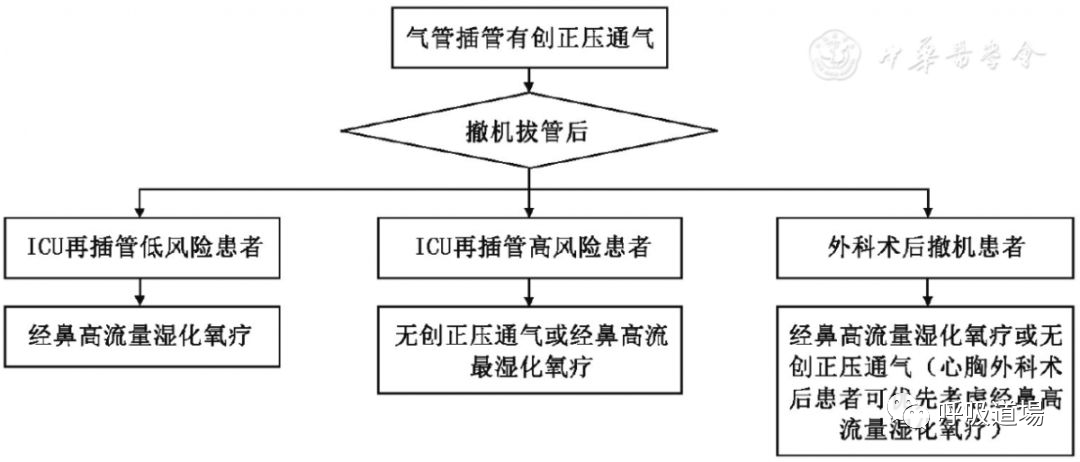 3)患者也可以谨慎应用,但要做好更换为无创通气氧疗或气管插管有创