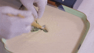 6种口味不重样!