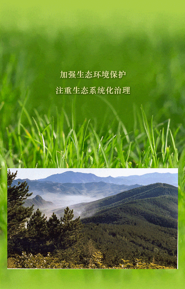 640_1000 竖版 竖屏