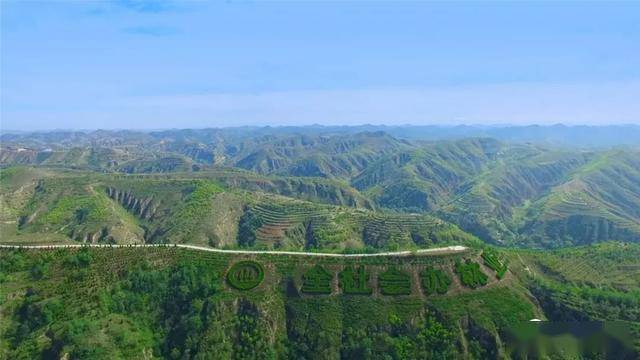 黄土高原披绿装子洲生态变新样子洲县春季植树造林工作纪实