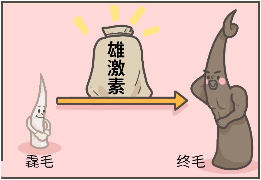 成语气什么雄_等什么君