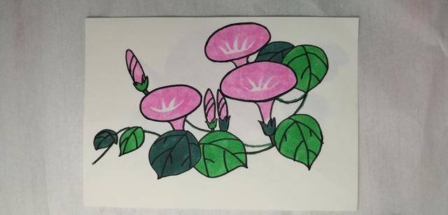 儿童简笔画,各种植物花卉的简笔画图片,认识各种花的画法