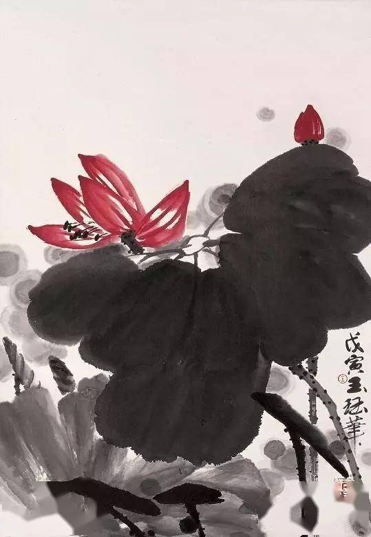 名家国画荷花作品对比欣赏