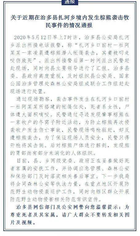 棕熊简谱_棕熊图片卡通(2)