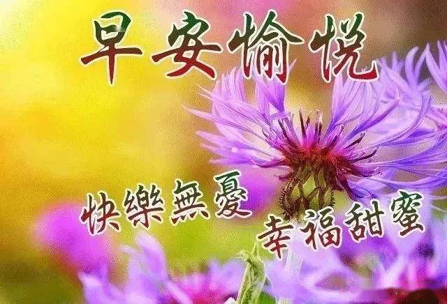 人,贵在真诚相依,情,贵在彼此牵挂,早安