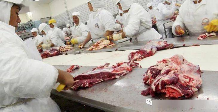 爱尔兰肉类加工厂为何成疫情温床? 我们还能放心地吃肉吗?
