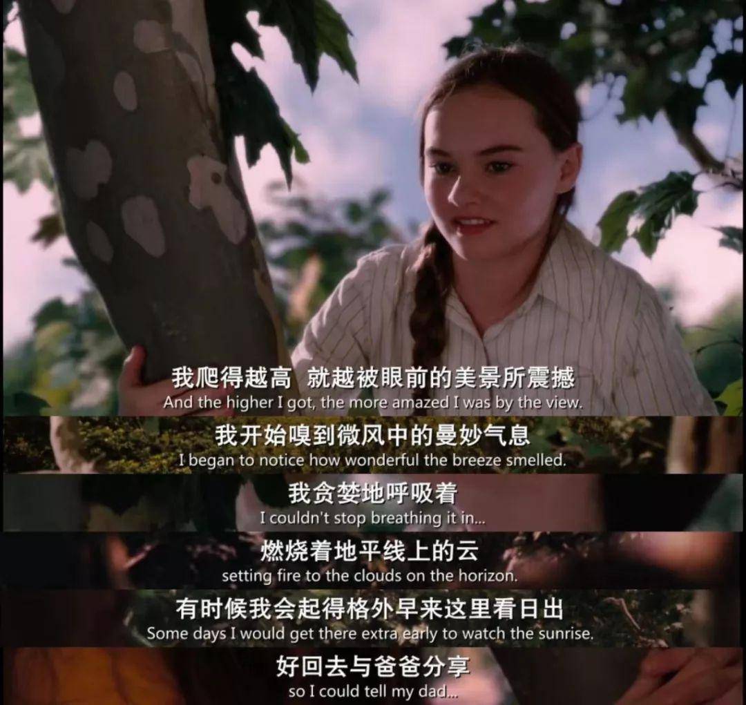 第一天开始的怦然心动