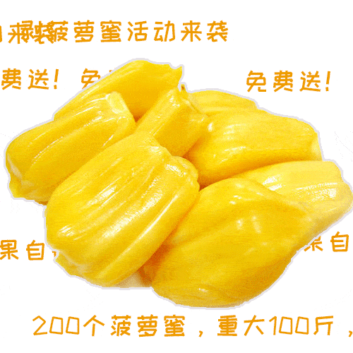 a2e17baeb4f04e7497e46fd65c617b08.gif