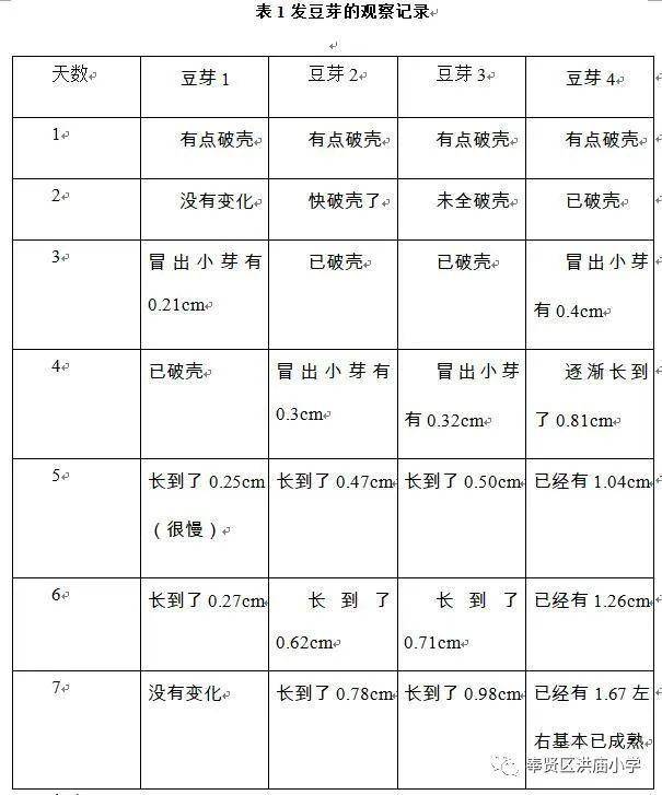 观察记录 3讨论 从表1中可以看出,我的实验结果是:发豆芽最好早中晚都