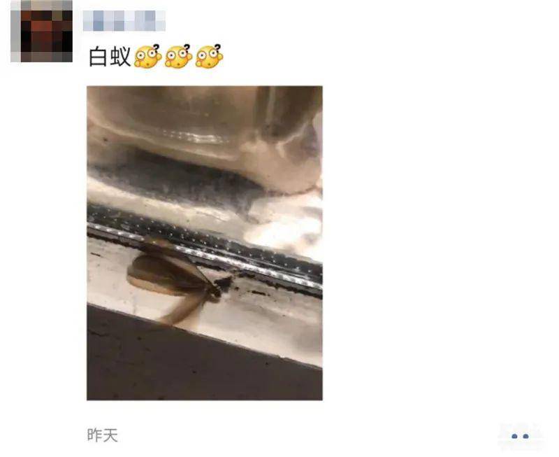 单元楼■一小区多个单元楼下出现恶心一幕...密密麻麻|新闻日志，