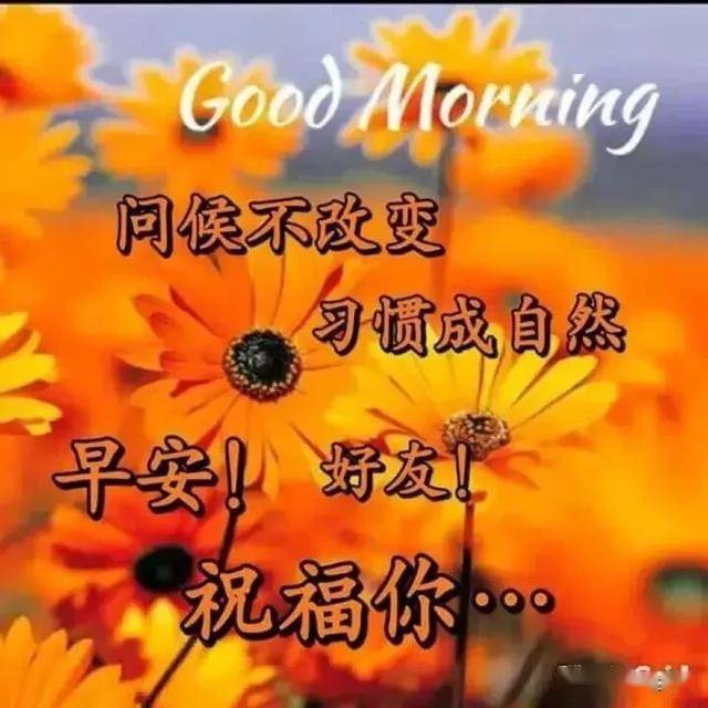 aaa96caa760941d1979aa8a8d10dabb6.jpeg