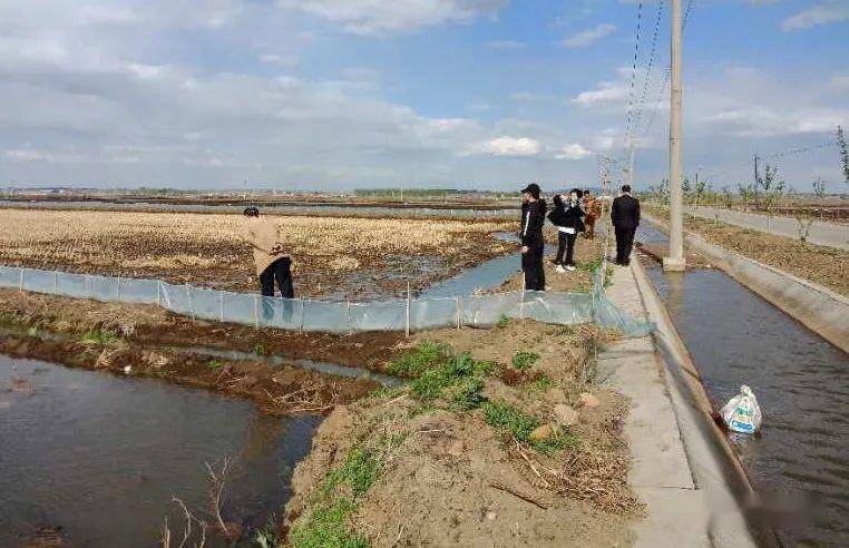 农村人口地可以养殖吗_地笋的叶子可以吃吗