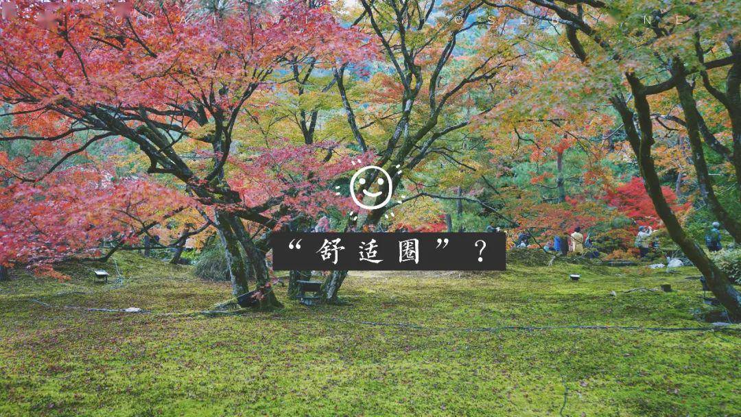 反正我是不会忙着跳出舒适区的