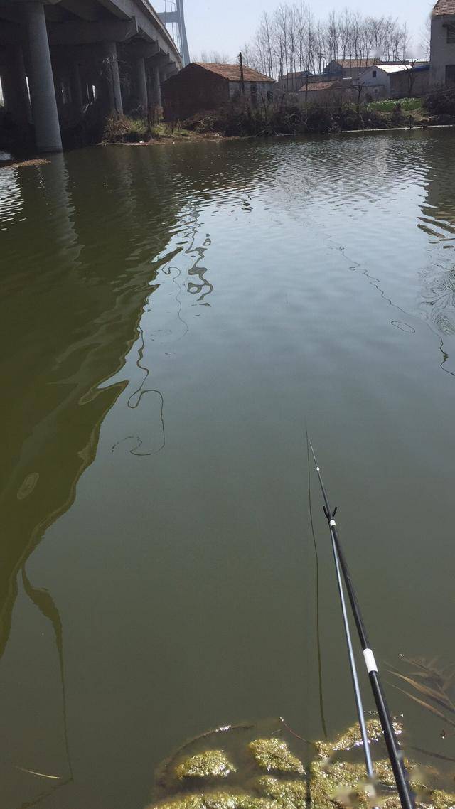 多少级可以钓鱼 206d8e423ada4cddb8a5cddce221badd.jpeg