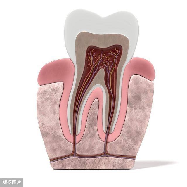 什么是牙龈炎牙周炎牙髓炎