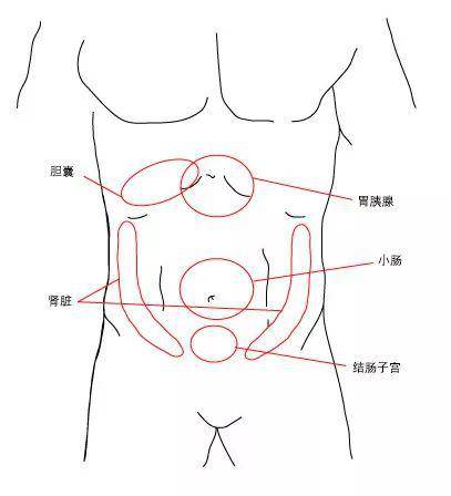 常见内脏疼痛部位 bmj evidence centre制作